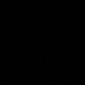 Meet your Posher, Charli